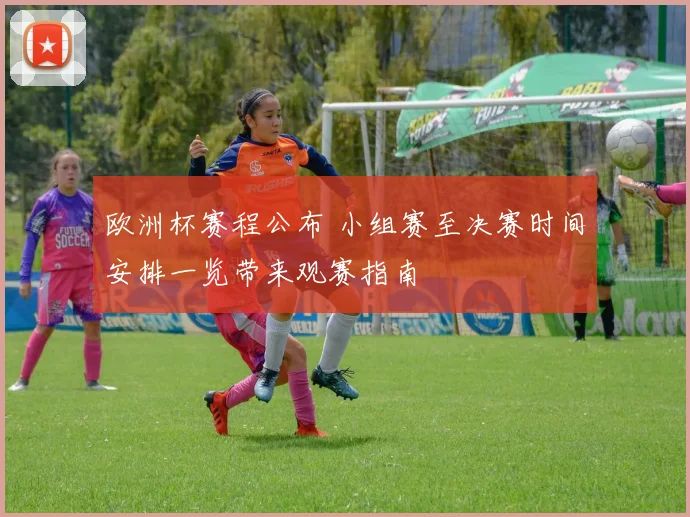 欧洲杯赛程公布 小组赛至决赛时间安排一览带来观赛指南