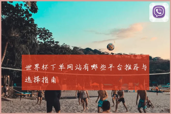 世界杯下单网站有哪些平台推荐与选择指南
