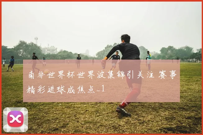 南非世界杯世界波集锦引关注 赛事精彩进球成焦点_1