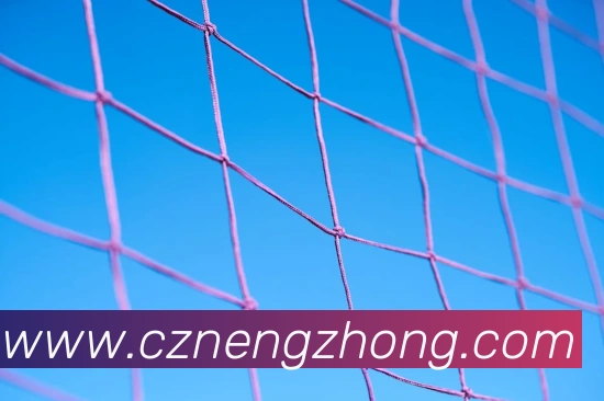 世界杯开户平台APP 体育赛事宣传图